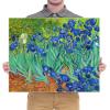 imageWieco Art Framed Wall Art Irises by Van Gogh Famous Flowers Oil Paintings Reproduction Large Canvas Prints Modern Canvas Prints Artwork Pictures on Canvas for Wall Decor Black Frame24L x 20W