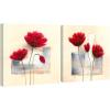 24x24inchx2pcs (60x60cmx2pcs)