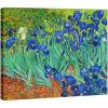 imageWieco Art Framed Wall Art Irises by Van Gogh Famous Flowers Oil Paintings Reproduction Large Canvas Prints Modern Canvas Prints Artwork Pictures on Canvas for Wall Decor Black Frame16L x 12W