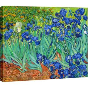imageWieco Art Framed Wall Art Irises by Van Gogh Famous Flowers Oil Paintings Reproduction Large Canvas Prints Modern Canvas Prints Artwork Pictures on Canvas for Wall Decor Black Frame24L x 20W