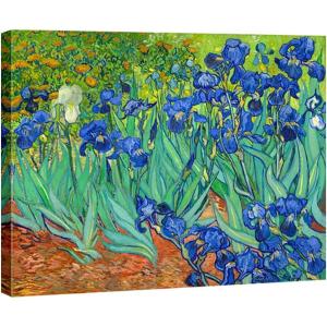 imageWieco Art Framed Wall Art Irises by Van Gogh Famous Flowers Oil Paintings Reproduction Large Canvas Prints Modern Canvas Prints Artwork Pictures on Canvas for Wall Decor Black Frame48L x 36W