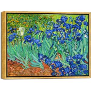 imageWieco Art Framed Wall Art Irises by Van Gogh Famous Flowers Oil Paintings Reproduction Large Canvas Prints Modern Canvas Prints Artwork Pictures on Canvas for Wall Decor Black Frame17L x 13W