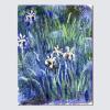 imageWieco Art Canvas Print Wall Art Irises by Claude Monet Oil Paintings Reproduction Landscape Pictures Artwork on Canvas Art for Living Room Decorations and Wall Decor12L x 16W