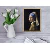 imageWieco Art Framed Canvas Art the Girl with a Pearl Earring by Jan Vermeer Oil Paintings Reproduction Canvas Print Artwork for Living Room Decoration Home ampamp Office Decor17L x 13W
