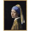 imageWieco Art Framed Canvas Art the Girl with a Pearl Earring by Jan Vermeer Oil Paintings Reproduction Canvas Print Artwork for Living Room Decoration Home ampamp Office Decor17L x 13W