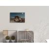 imageWieco Art Canvas Wall Art the Sleeping Gypsy Henri Rousseau Paintings Reproduction Canvas Prints Landscape Pictures Artwork Paintings on Canvas Art for Home Office DecorationsA