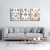 imageWieco Art 3 Piece Ernst Haeckel Poster Various Medusa Canvas Wall Art Haeckel Vintage Various Biology Art Print Poster for kids Wall and Home Office Decorations