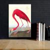 imageWieco Art Canvas Print Wall Art Great Blue Heron by John James Audubon Vintage Poster Birds of America Antique Bird Illustration Wall Art for Living Room Home Kitchen DecorationsRed