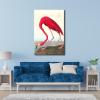 imageWieco Art Canvas Print Wall Art Great Blue Heron by John James Audubon Vintage Poster Birds of America Antique Bird Illustration Wall Art for Living Room Home Kitchen DecorationsRed
