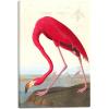 imageWieco Art Canvas Print Wall Art Great Blue Heron by John James Audubon Vintage Poster Birds of America Antique Bird Illustration Wall Art for Living Room Home Kitchen DecorationsRed