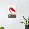 imageWieco Art Canvas Print Wall Art Great Blue Heron by John James Audubon Vintage Poster Birds of America Antique Bird Illustration Wall Art for Living Room Home Kitchen DecorationsRed