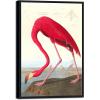 imageWieco Art Canvas Print Wall Art Great Blue Heron by John James Audubon Vintage Poster Birds of America Antique Bird Illustration Wall Art for Living Room Home Kitchen DecorationsRed