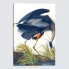 imageWieco Art Canvas Print Wall Art Great Blue Heron by John James Audubon Vintage Poster Birds of America Antique Bird Illustration Wall Art for Living Room Home Kitchen DecorationsBlue