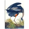 imageWieco Art Canvas Print Wall Art Great Blue Heron by John James Audubon Vintage Poster Birds of America Antique Bird Illustration Wall Art for Living Room Home Kitchen DecorationsBlue