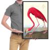 imageWieco Art Canvas Print Wall Art Great Blue Heron by John James Audubon Vintage Poster Birds of America Antique Bird Illustration Wall Art for Living Room Home Kitchen DecorationsRed