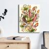 imageWieco Art Ernst Haeckel Poster Print Discomedusae Canvas Wall Art Haeckel Aquatic Art Marine Life Nature Animal Prints for Wall and Home Office DecorationsLight Brown