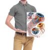 imageWieco Art Ernst Haeckel Poster Print Discomedusae Canvas Wall Art Haeckel Aquatic Art Marine Life Nature Animal Prints for Wall and Home Office DecorationsPink