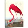 imageWieco Art Canvas Print Wall Art Great Blue Heron by John James Audubon Vintage Poster Birds of America Antique Bird Illustration Wall Art for Living Room Home Kitchen DecorationsRed