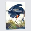 imageWieco Art Canvas Print Wall Art Great Blue Heron by John James Audubon Vintage Poster Birds of America Antique Bird Illustration Wall Art for Living Room Home Kitchen DecorationsBlue