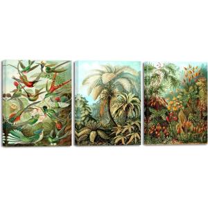 imageWieco Art 3 Piece Ernst Haeckel Poster ampamp Vintage Botanical Prints Hummingbirds Filicinae Palm Tree Canvas Wall Art Haeckel Bird Plant Poster for Wall and Home Office Decorations