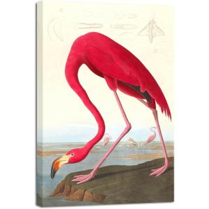 imageWieco Art Canvas Print Wall Art Great Blue Heron by John James Audubon Vintage Poster Birds of America Antique Bird Illustration Wall Art for Living Room Home Kitchen DecorationsRed