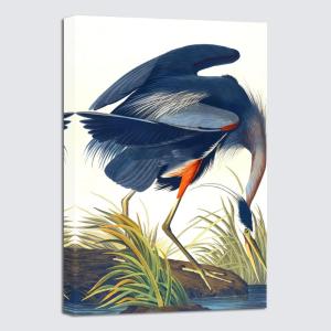 imageWieco Art Canvas Print Wall Art Great Blue Heron by John James Audubon Vintage Poster Birds of America Antique Bird Illustration Wall Art for Living Room Home Kitchen DecorationsBlue