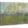 imageWieco Art Orchard with Blossoming Apricot Trees Giclee Canvas Prints Wall Art of Van Gogh Famous Oil Paintings Reproduction Modern Classic Flowers Landscape Pictures Artwork for Home Decoration24L x 20W