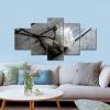 imageWieco Art White Rose Canvas Prints Wall Art Flowers Pictures Paintings Ready to Hang for Living Room Bedroom Bathroom Home Decorations Modern 5 Piece Stretched and Framed Floral Giclee Artwork12x16inchx2pcs 12x24inchx2pcs 12x32inchx1pc