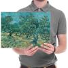 imageWieco Art Olive Grove 2 Canvas Print of Vincent Van Gogh Wall Art Paintings Reproduction Field Pictures Artwork for Wall Decor and Home Decorations