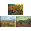 imageWieco Art Olive GroveDer rote WeinbergGreen Ears of Wheat Canvas Prints of Vincent Van Gogh Canvas Wall Art Famous Paintings Reproduction Pictures Artwork Wall Art for Home Decor