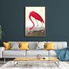 image:imageWieco Art Framed Canvas Print Wall Art American flamingo by John James Audubon The Birds of America Reproductions Art Print for Living Room Bedroom Home Kitchen Decorations FAUDUBON00016090NW29