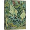 image:imageWieco Art Canvas Prints Wall Art Great Peacock Moth by Vincent Van Gogh Oil Paintings Reproduction Canvas Prints Artwork Pictures for Home and office Decorations