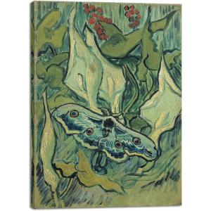 image:imageWieco Art Canvas Prints Wall Art Great Peacock Moth by Vincent Van Gogh Oil Paintings Reproduction Canvas Prints Artwork Pictures for Home and office Decorations