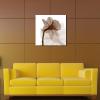 image:imageWieco Art Large Contemporary Stretched and Framed Floral Giclee Canvas Prints Brown Flickering Flowers Pictures Paintings on Canvas Wall Art Work for Bedroom Kitchen Home Decorations 24 by 24Inch