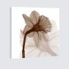image:imageWieco Art Modern Gallery wrapped Artwork Contemporary Floral Giclee Canvas Prints Brown Flickering Flowers Pictures Paintings on Canvas Wall Art for Bedroom Kitchen Home Decorations 20 by 20Inch