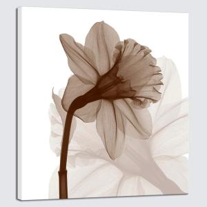 image:imageWieco Art Large Contemporary Stretched and Framed Floral Giclee Canvas Prints Brown Flickering Flowers Pictures Paintings on Canvas Wall Art Work for Bedroom Kitchen Home Decorations 24 by 24Inch
