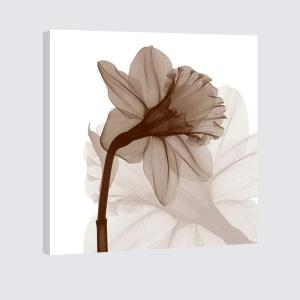 image:imageWieco Art Modern Gallery wrapped Artwork Contemporary Floral Giclee Canvas Prints Brown Flickering Flowers Pictures Paintings on Canvas Wall Art for Bedroom Kitchen Home Decorations 20 by 20Inch